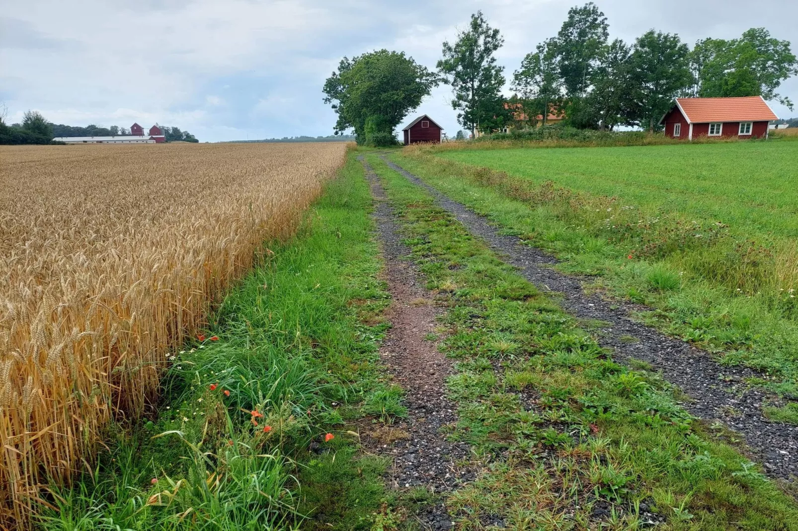 4 star holiday home in ÖDESHÖG