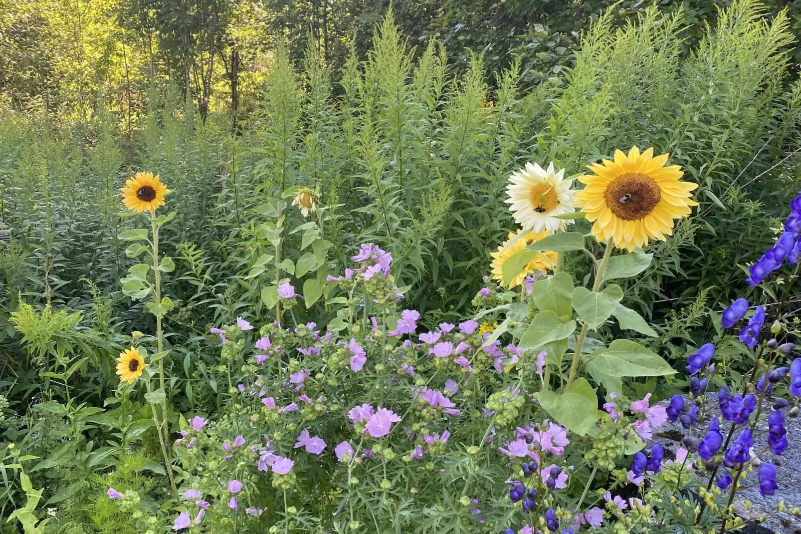 4 Sterne Ferienhaus in GULDSMEDHYTTAN-Im Freien