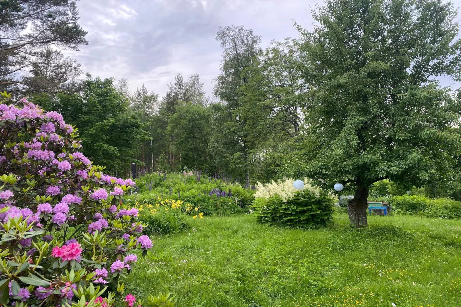 4 Sterne Ferienhaus in GULDSMEDHYTTAN-Im Freien