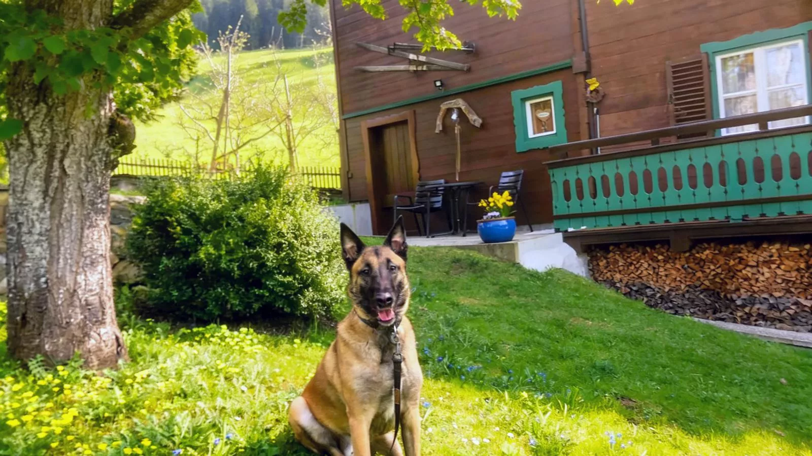 Chalet Anna Bramberg - Gardens in summer