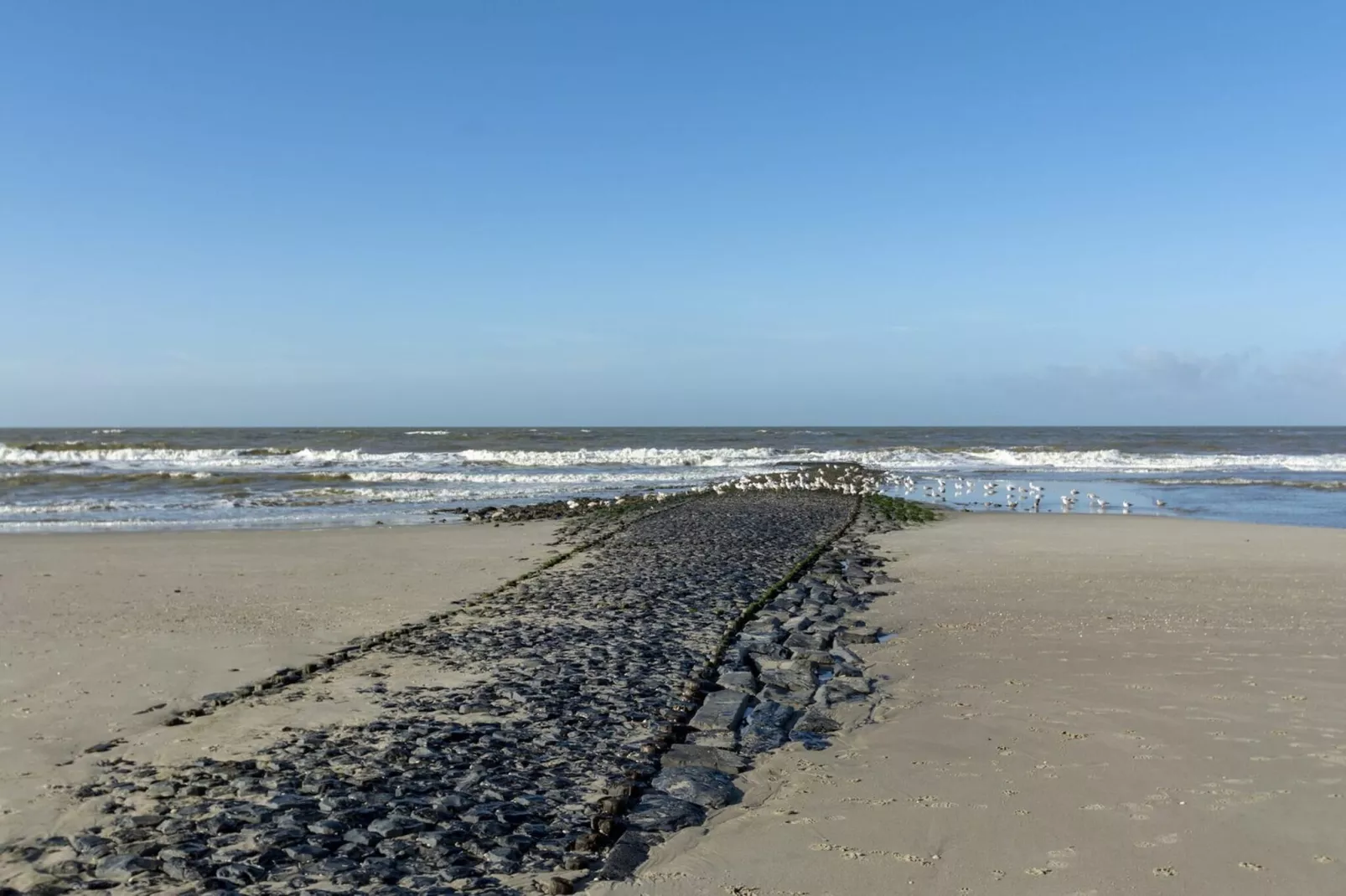 Suite Uitwaayer - Gebiete Sommer 5 km