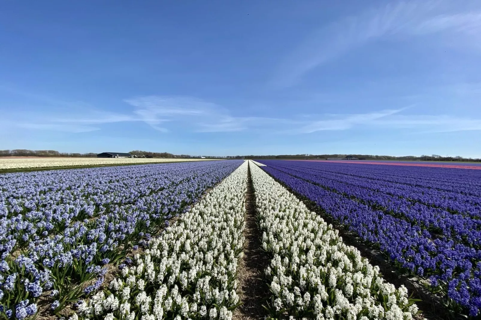 Suite Uitwaayer - Gebiete Sommer 5 km