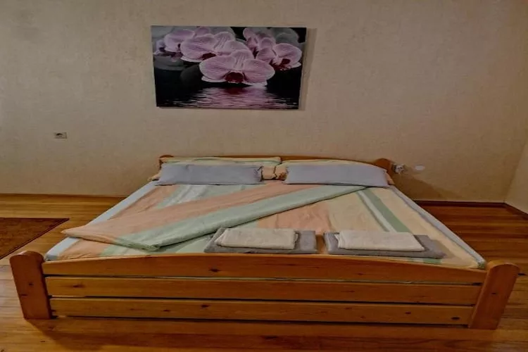 House Panorama - Studio Apartment (Studio)