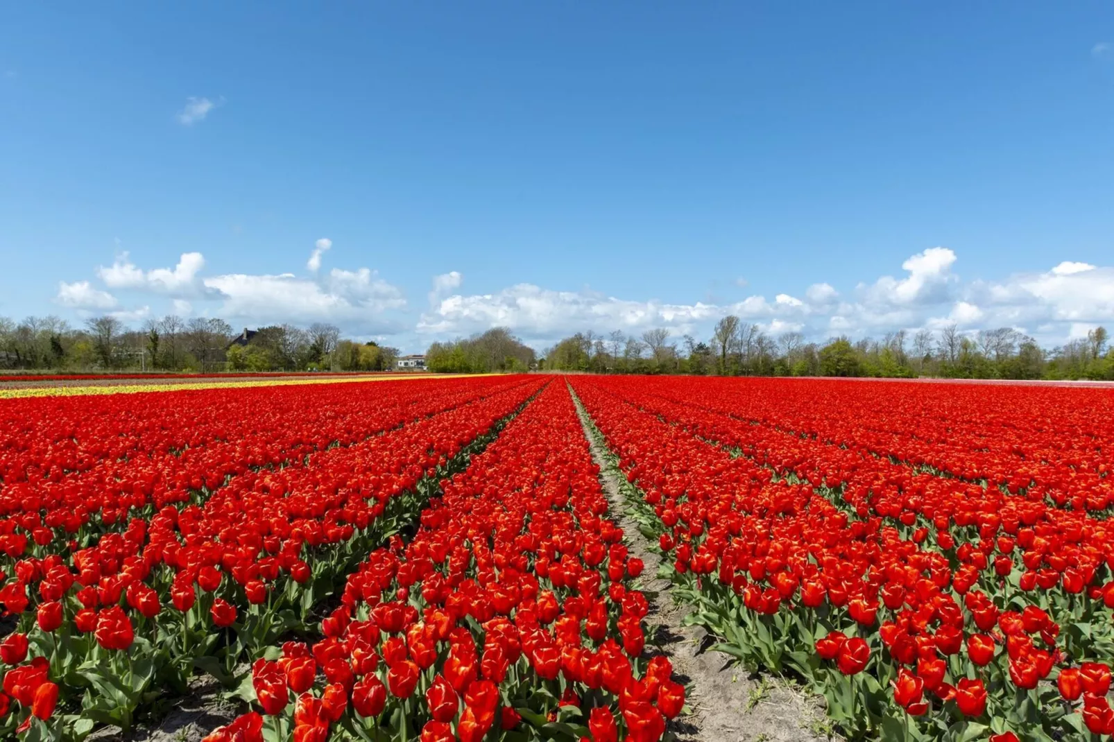 Suite Uitwaayer - Gebiete Sommer 5 km
