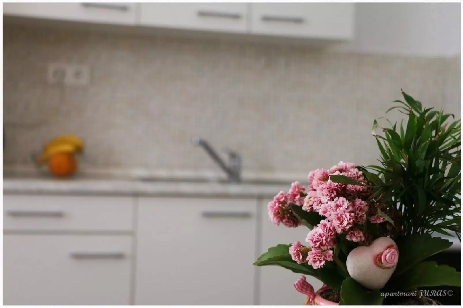 Apartments Juras - Two Bedroom Apartment with Terrace and sea view (Antonio)-Cuisine