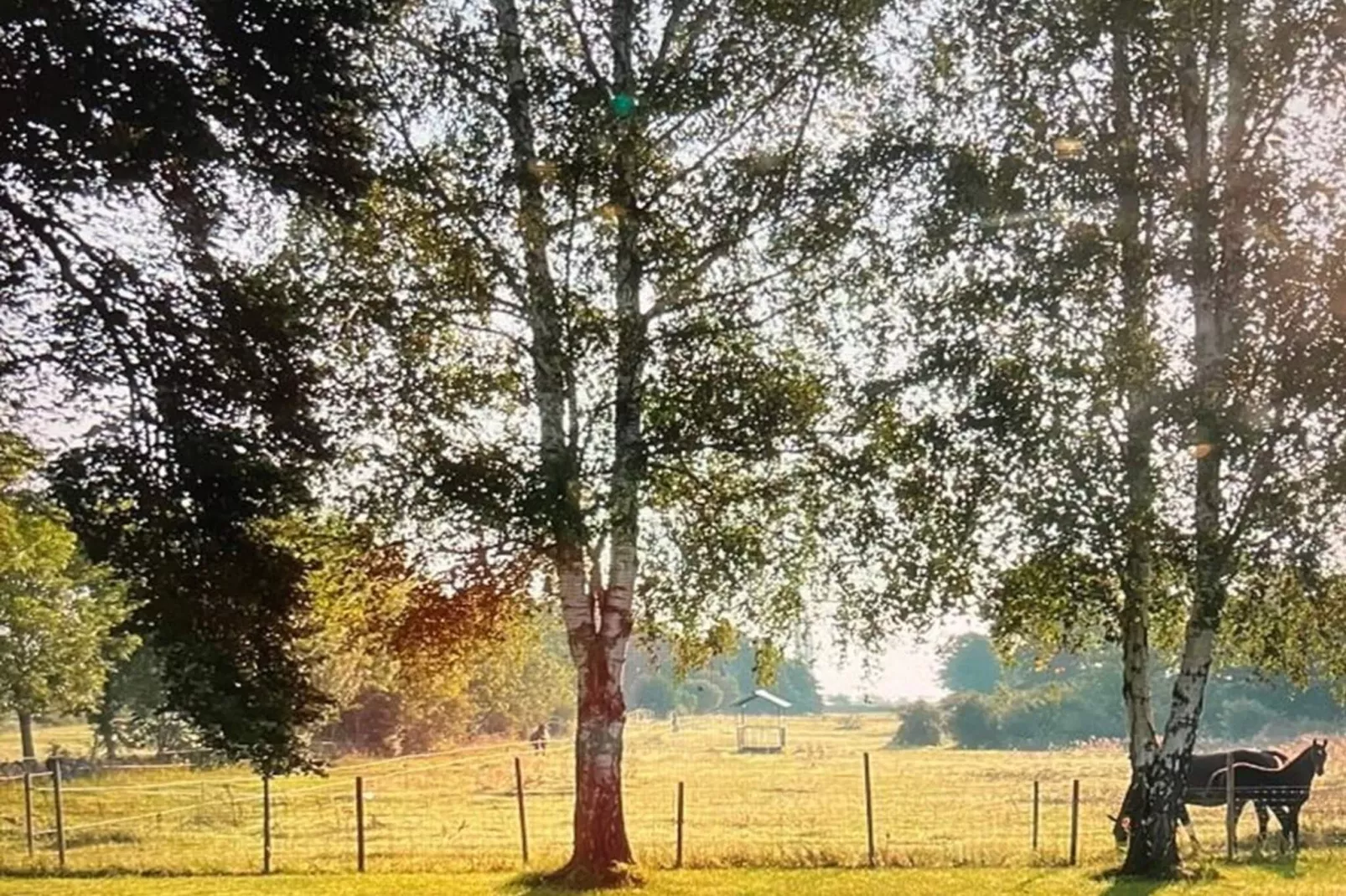 6 person holiday home in LÖTTORP - Outdoor