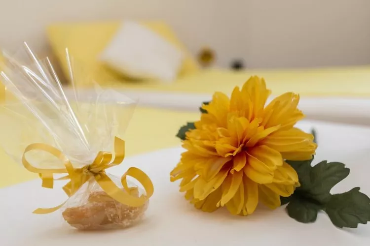 Apartments Jeanny - One Bedroom Apartment with Terrace-Outdoor