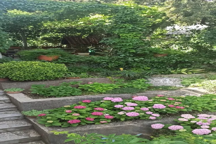 Apartments & Rooms Jokovic-Standard Double Room with Terrace and Partial Sea View (SOBA 5)-Im Freien