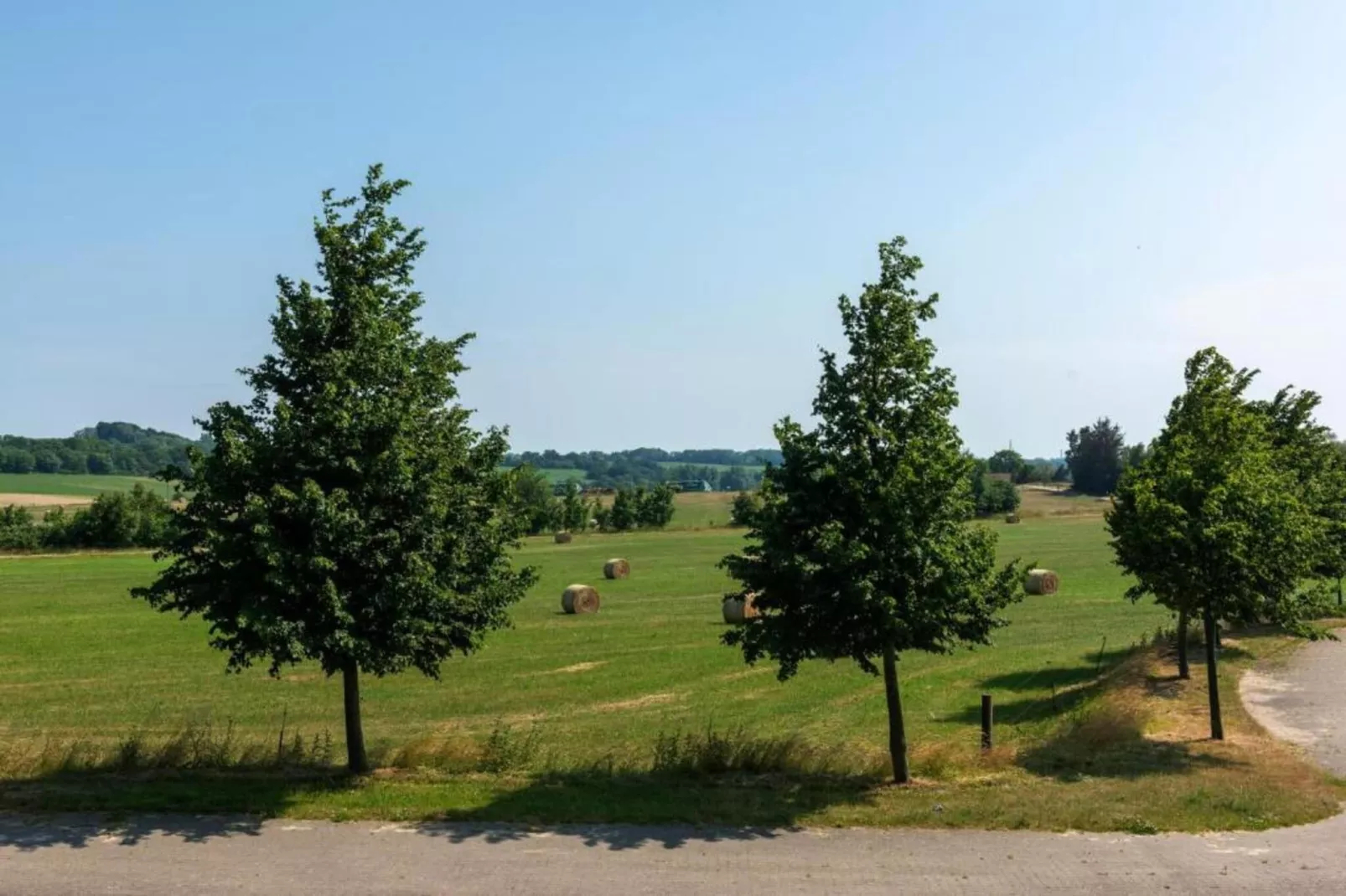 Rugen Manor Suite-Aussicht Sommer