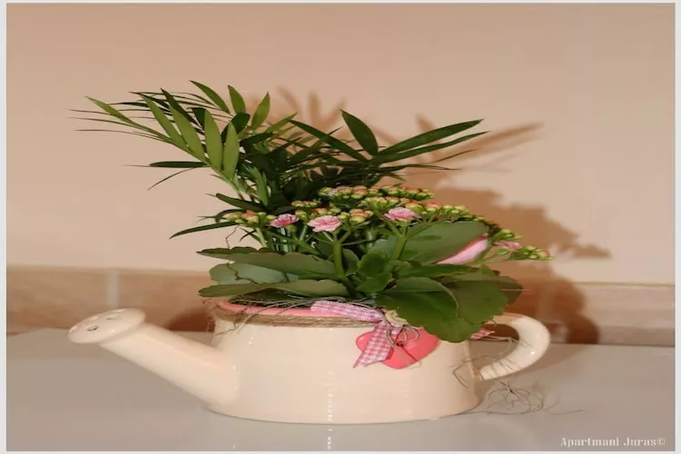 Apartments Juras - Studio Apartment with Sea View (Marija)-Innenbereich