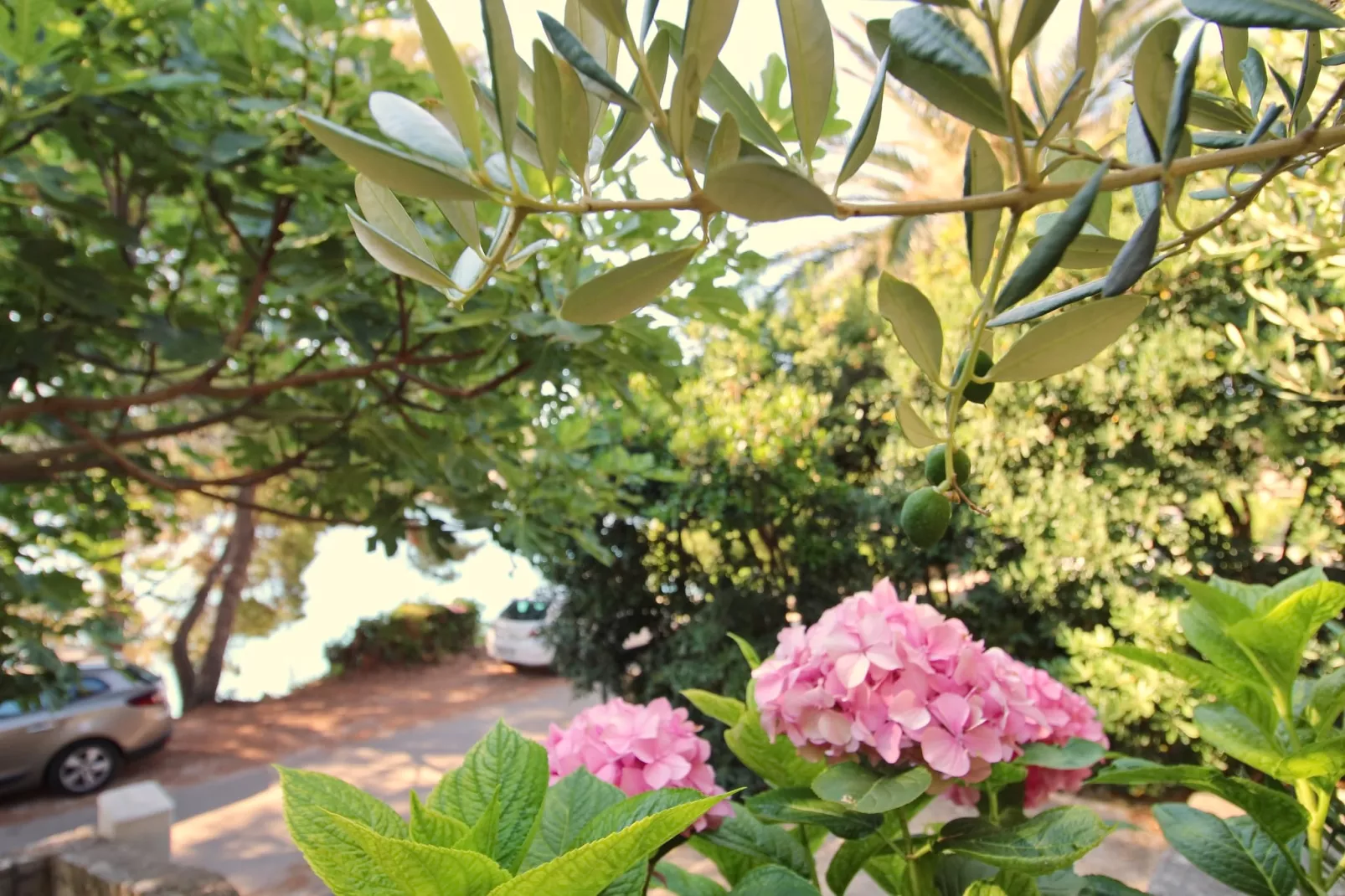 Apartment Kim- Two Bedroom Apartment with Terrace and Sea View-Gardens in summer