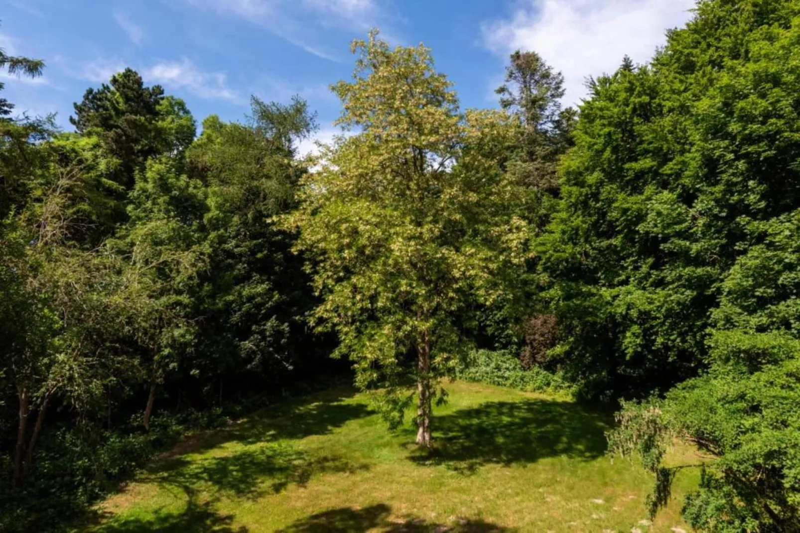 Rugen 2-bedroom suite 5 guest-Garten Sommer