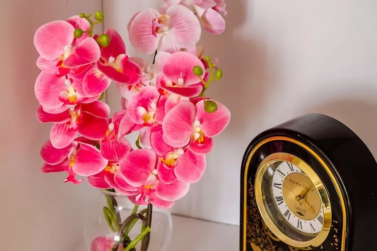 Holiday Home Avantgarde - Two Bedroom Holiday Home with Terrace and Sea View-Innenbereich