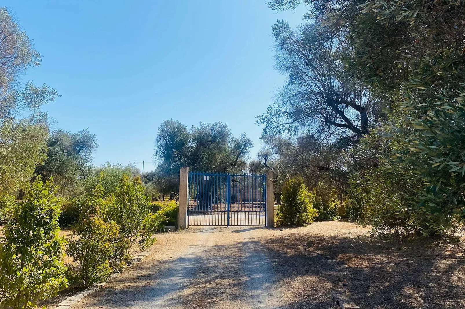 Villa azzurza - Hall / réception
