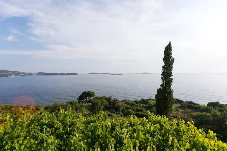 Guest House Fontana - Two Bedroom Apartment with Balcony and Sea View - Aussicht