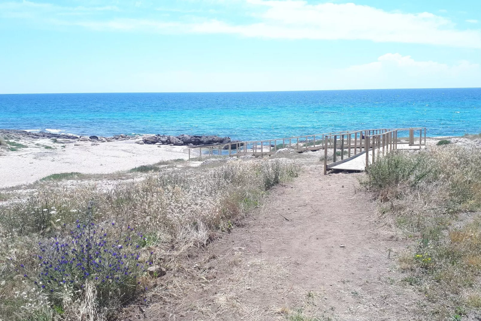 TS11-Areas summer 5km