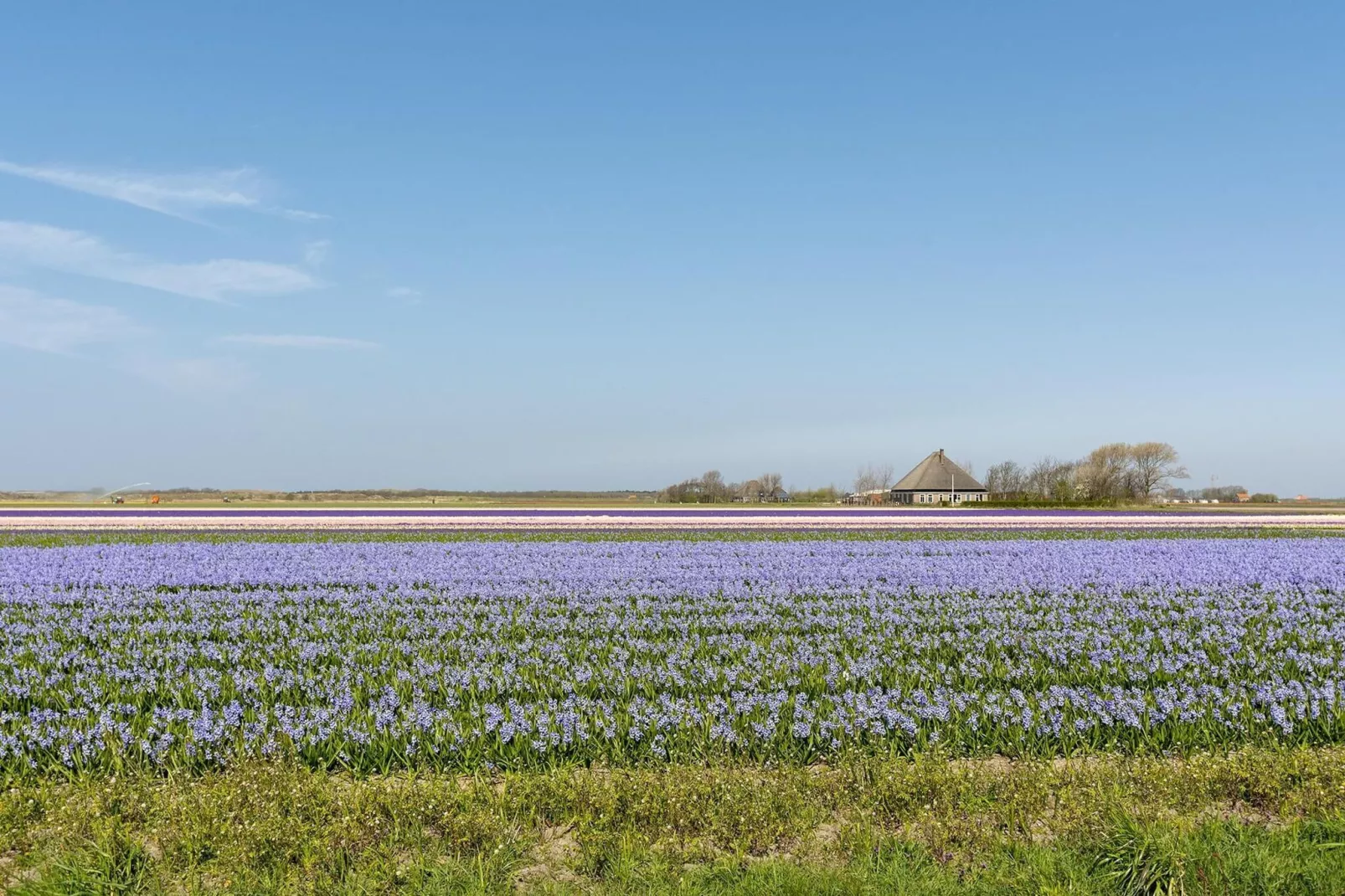 Ooghduyne 148-Gebiete Sommer 1 km