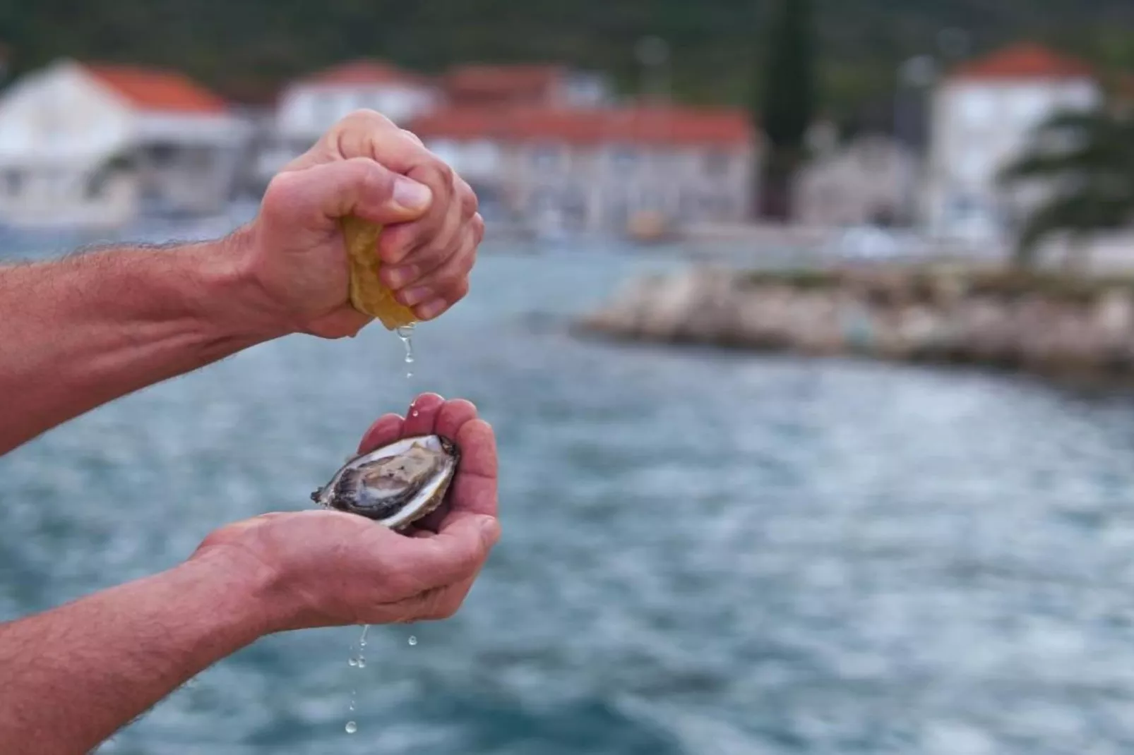 Apartments Kula - One Bedroom Apartment with Terrace C1-Ambiente