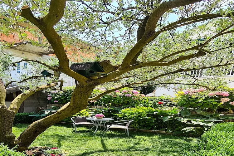 Holiday Home Gea - Three Bedroom Holiday Home with Terrace and Partial Sea View-Jardins en été