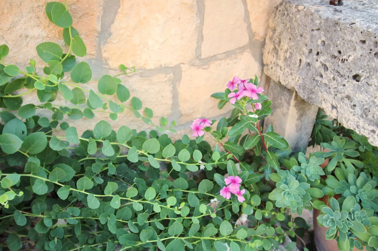 Apartment Kim- Two Bedroom Apartment with Terrace and Sea View-Outdoor