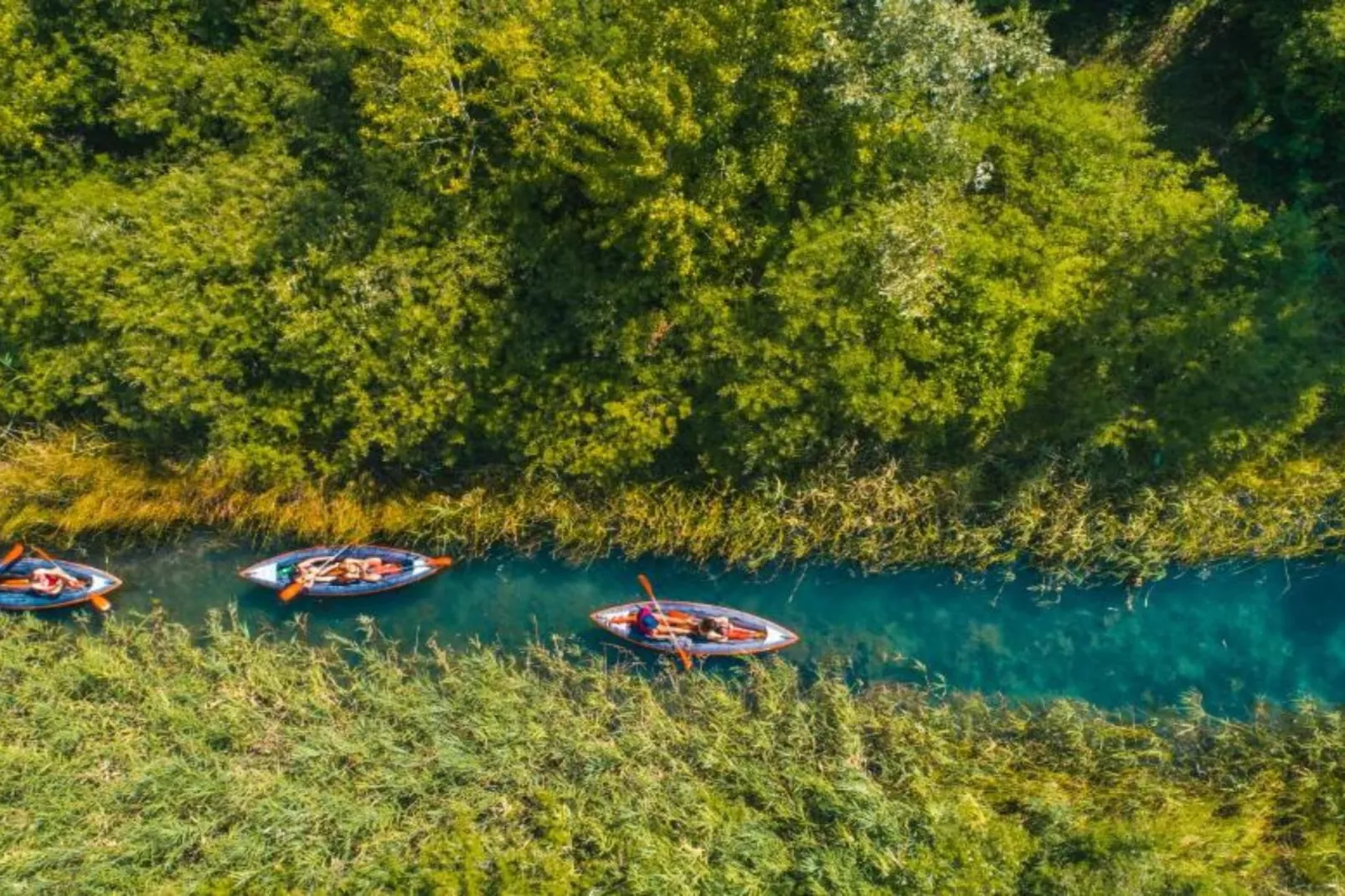 Apartments Kula - One Bedroom Apartment with Terrace C1-Ambiente