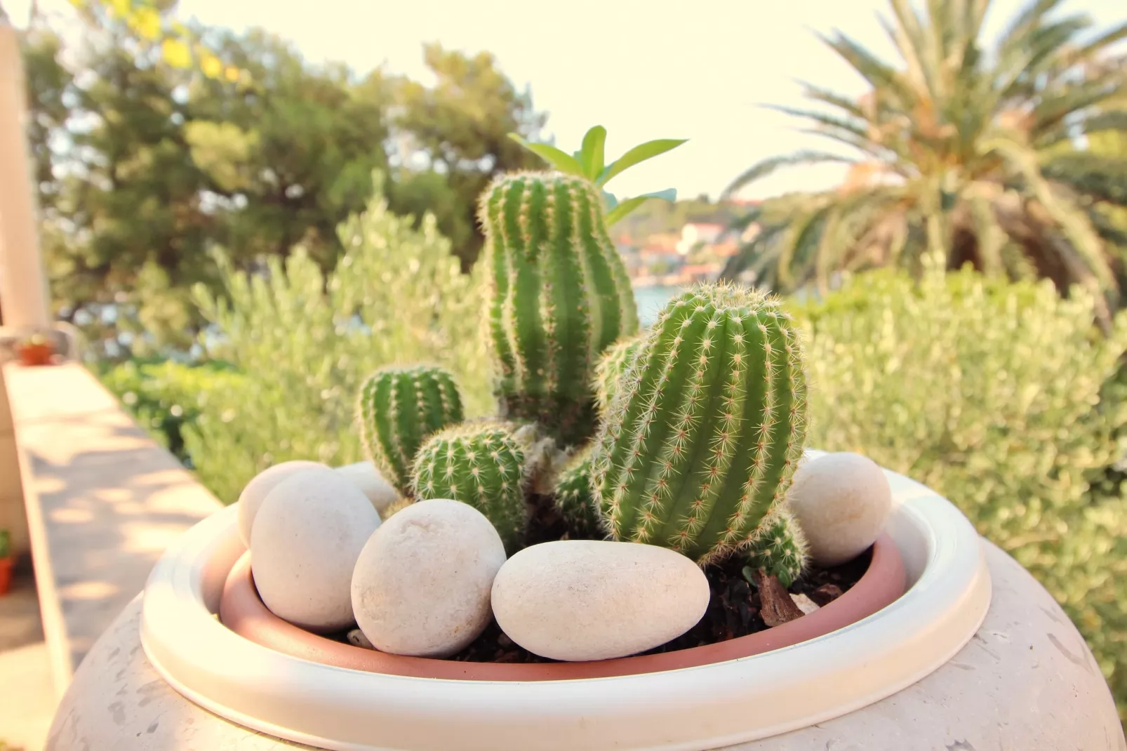 Apartment Kim- Two Bedroom Apartment with Terrace and Sea View-Outdoor