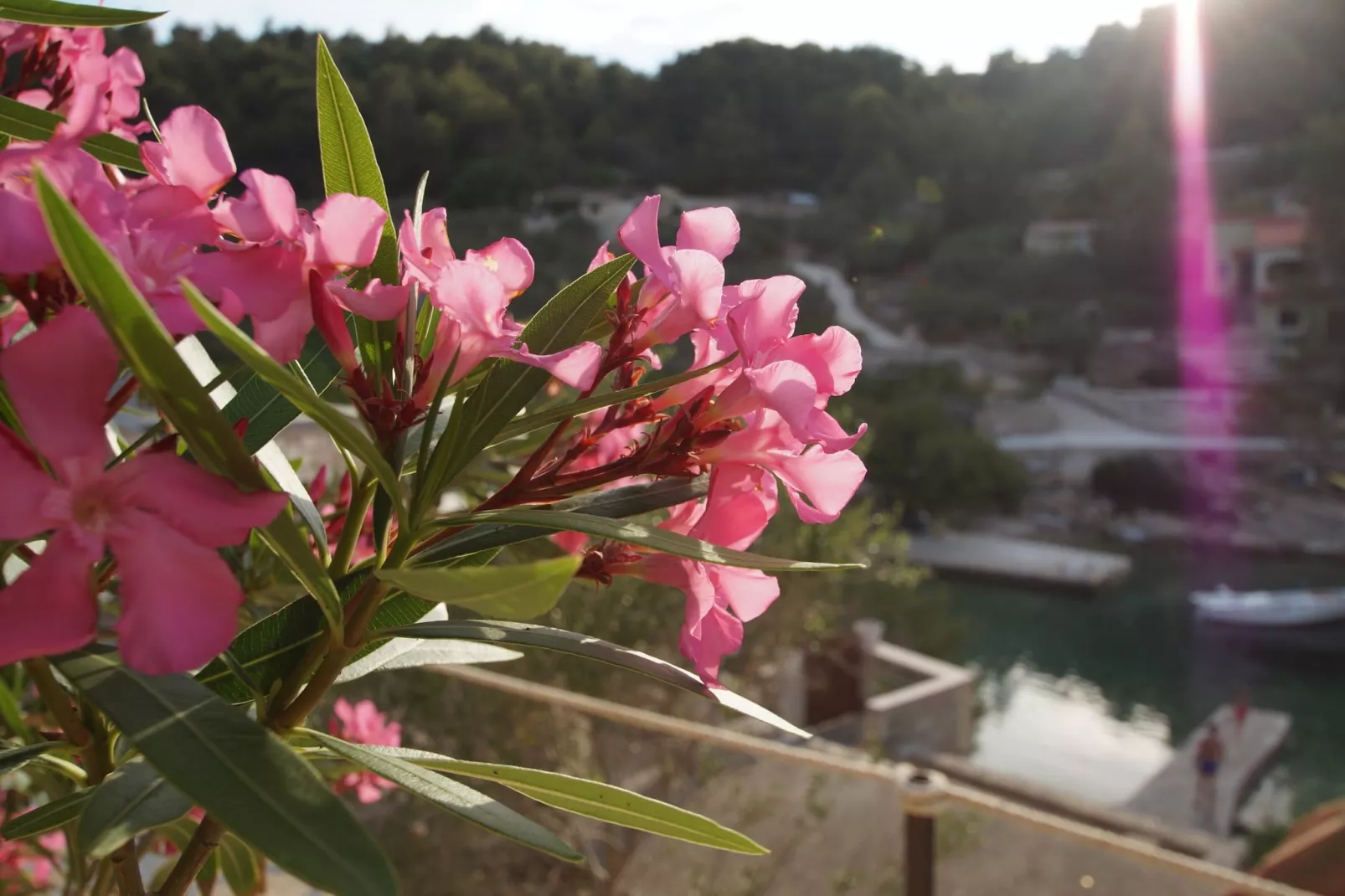 Stone House Mia - Two Bedroom Stone House with Terrace and Sea View-Im Freien