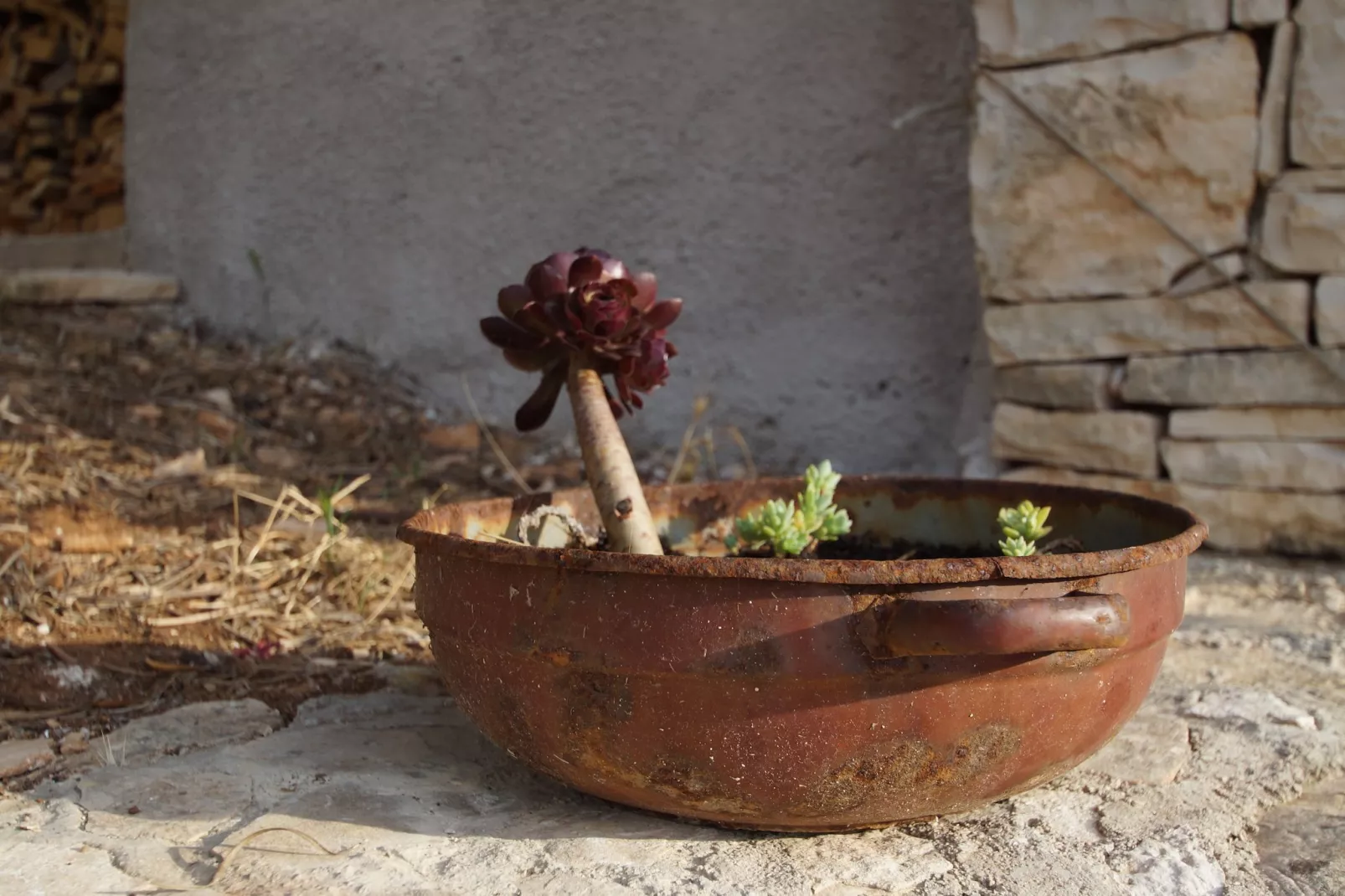 Stone House Mia - Two Bedroom Stone House with Terrace and Sea View-Im Freien