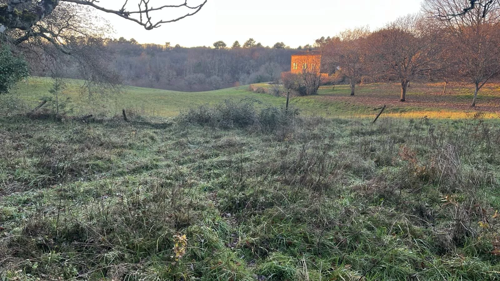 Maison Sauveterre-Aussicht Sommer