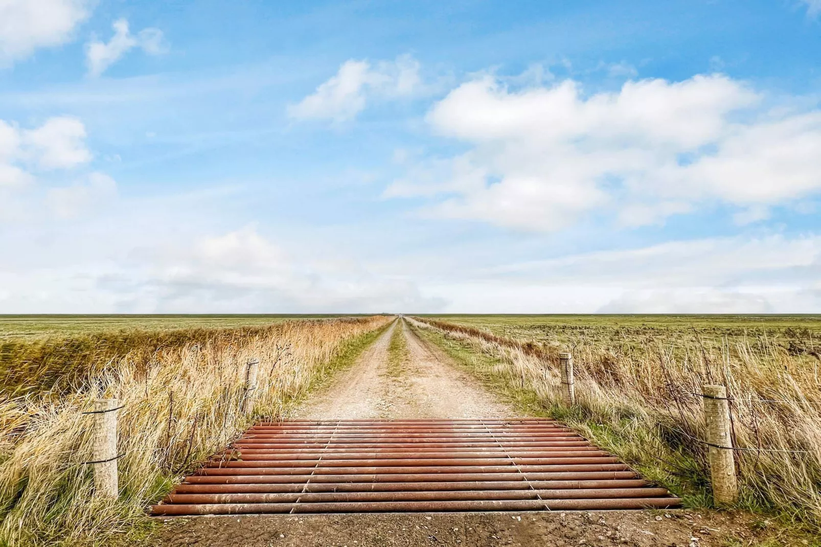 4 person holiday home in Tønder-By Traum-Outdoor