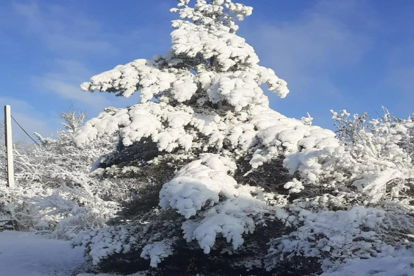 Le Place-Area within 1km in winter