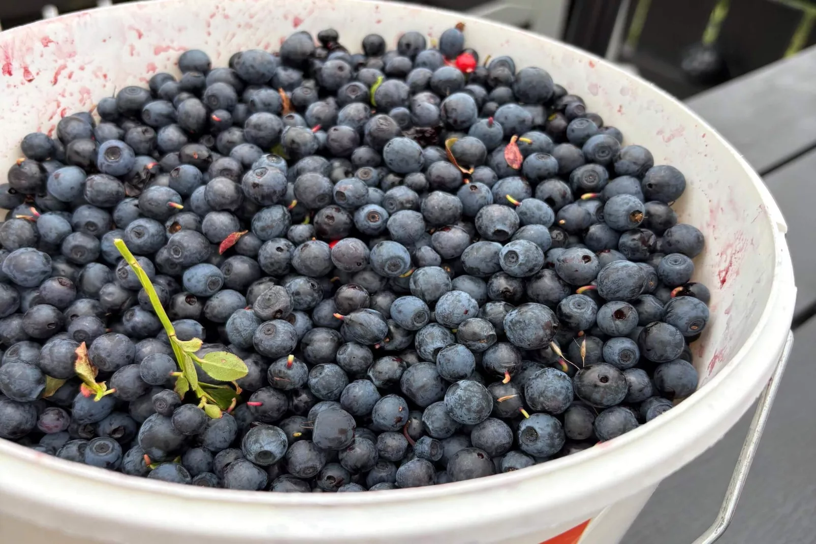 Maison de vacances pour 8 a frosta - Non tagué