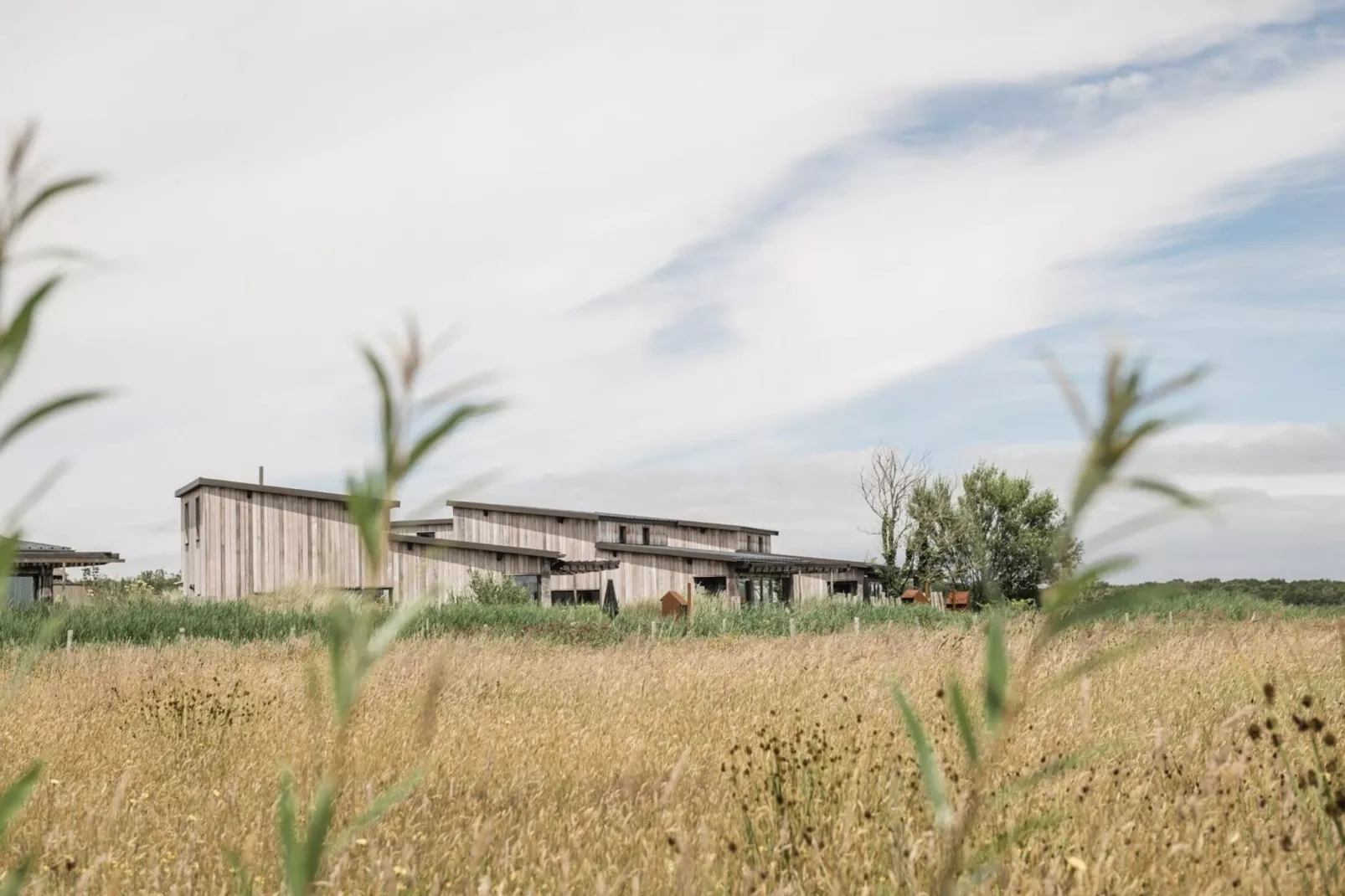 Juttershut Duynpark - Callantsoog - Jardins en été