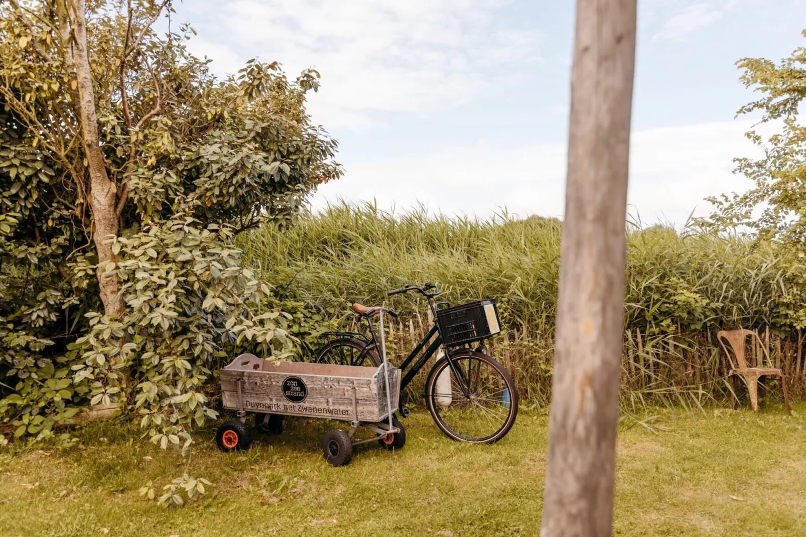 Juttershut Duynpark - Callantsoog - Jardins en été