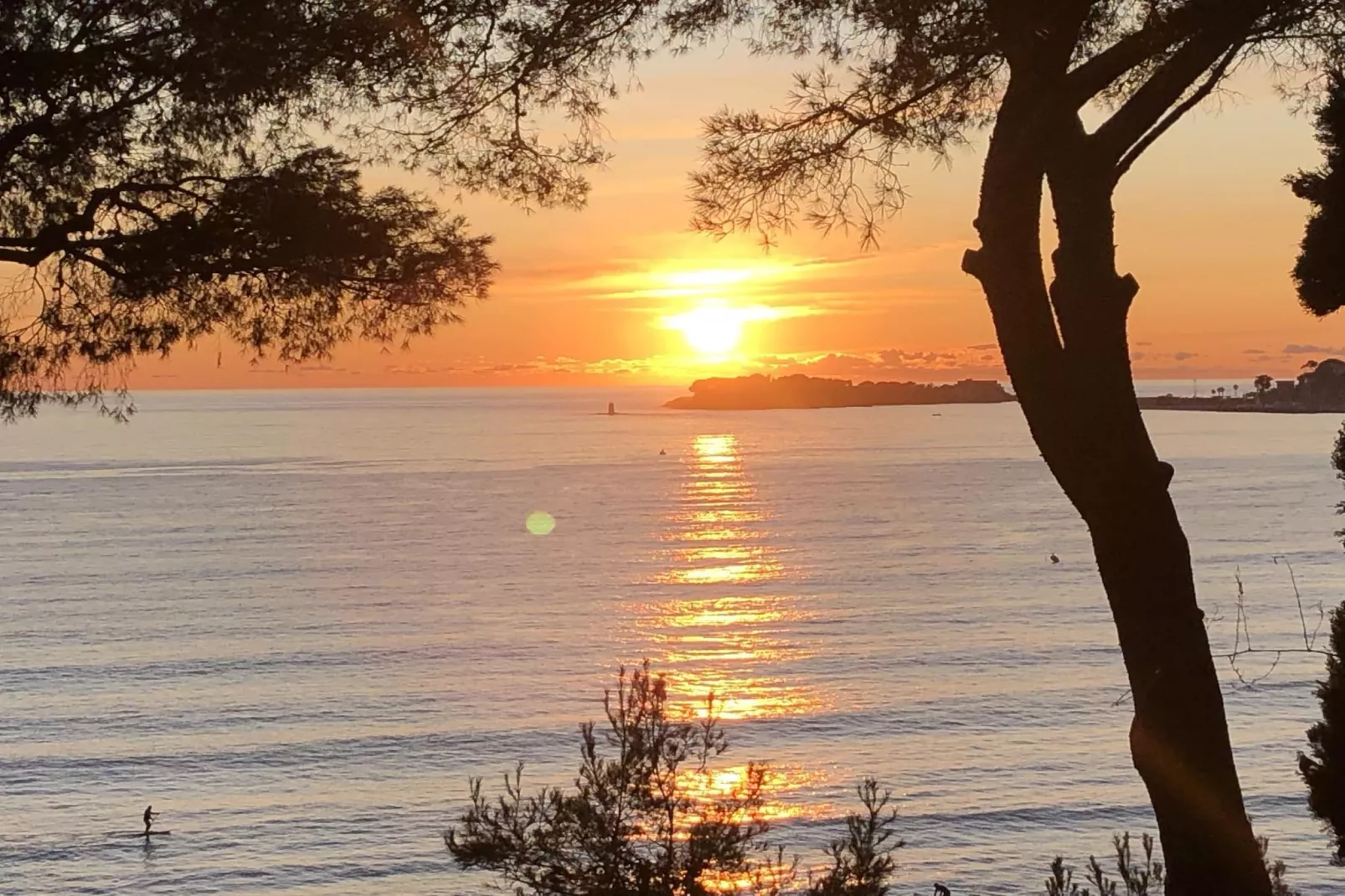 La Sauvagère-Zones été à 1 km