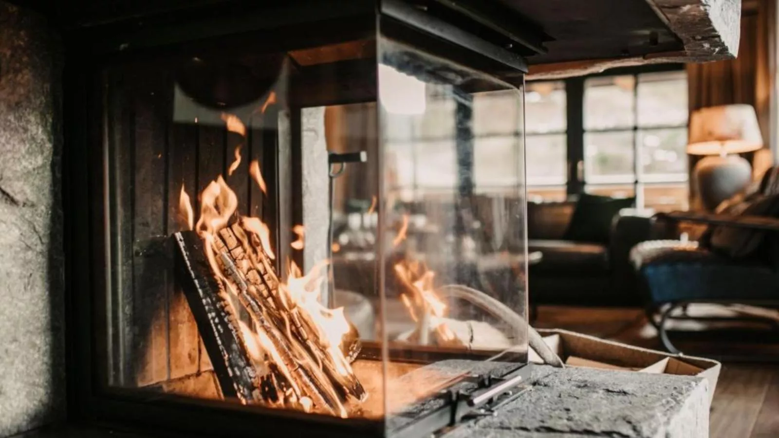 Lodge of Joy-Ambiente