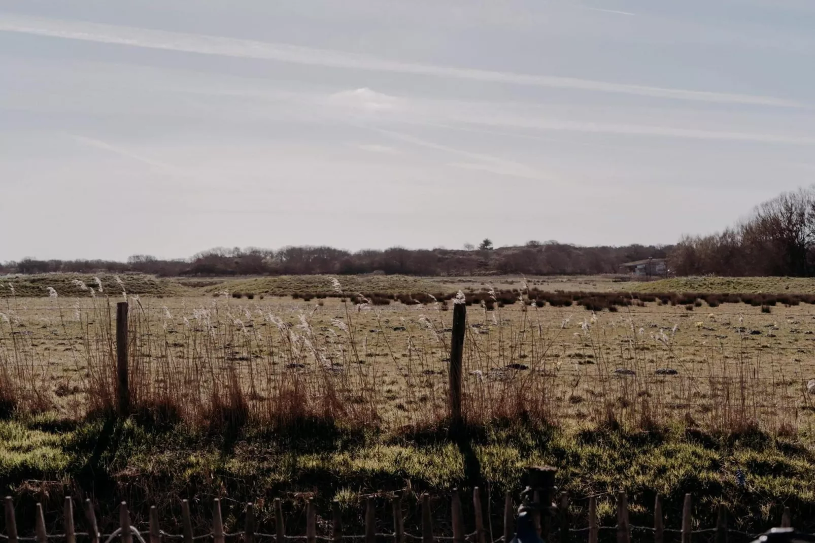 Juttershut Duynpark - Callantsoog - Vue