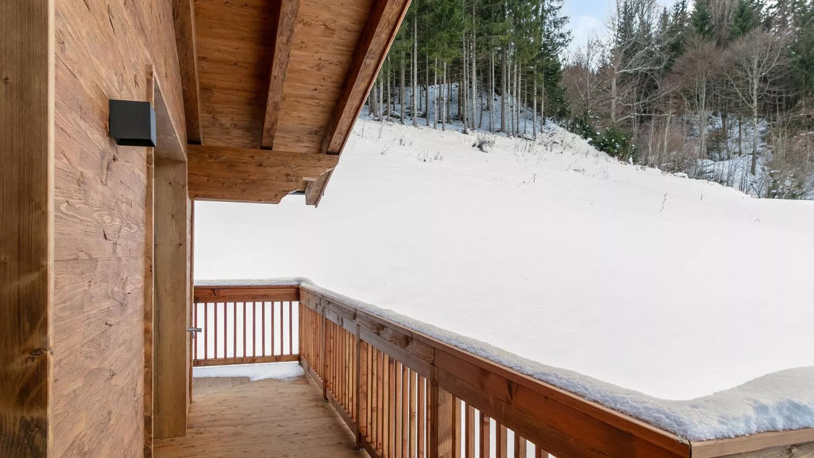 Tauernlodge Eben D4-Terrasse / balcon