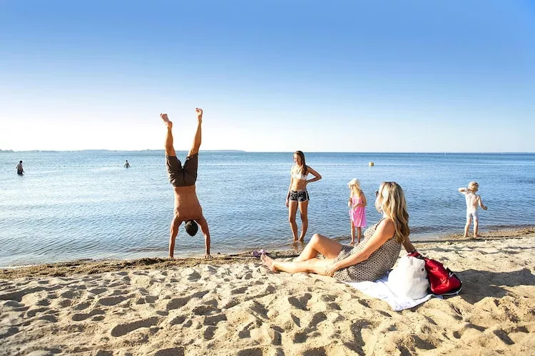 Haubentaucher Classic 83