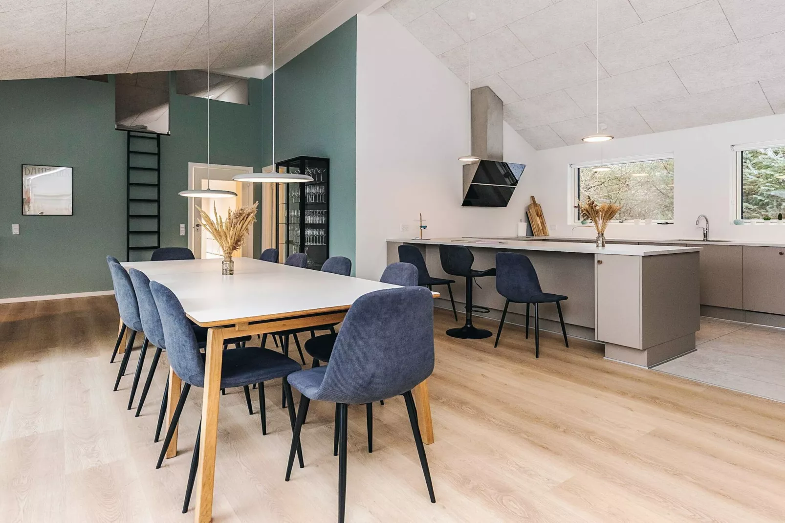 5 etoiles maison de vacances a Blokhus - Intérieur