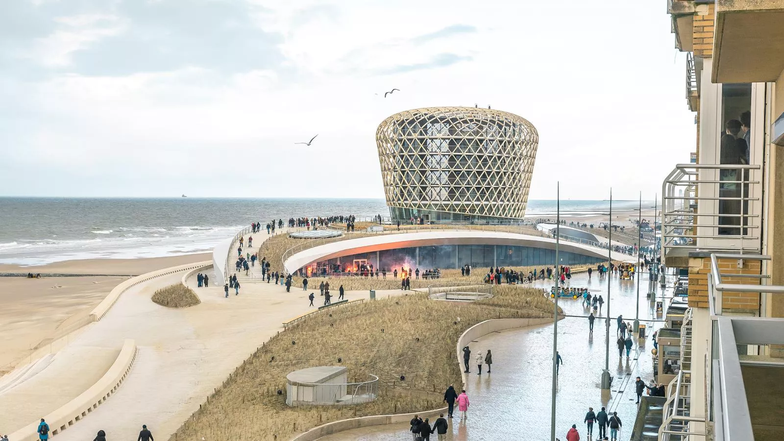 Mesanges  - 0401 + box 1/2 (Peter Pan)-View