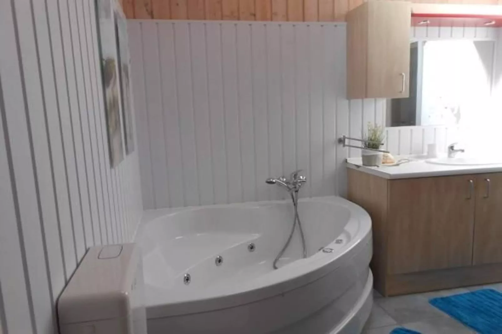 Haubentaucher 80-Badezimmer