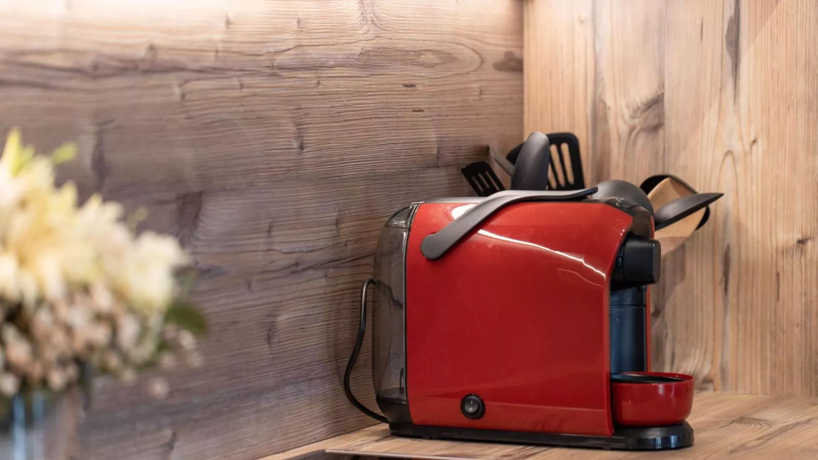 Ski Nature Apartment Lungau Top 1-Ambiance