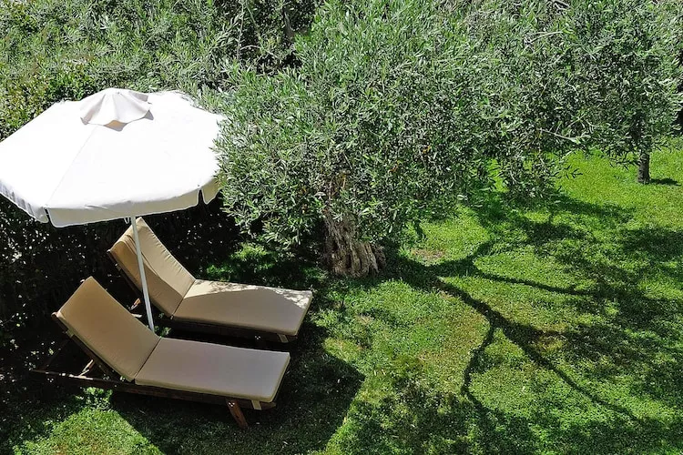 Holiday homes Trikorfo Beach, Gerakini-Panorama Junior, pax 2-4 - Jardins en été