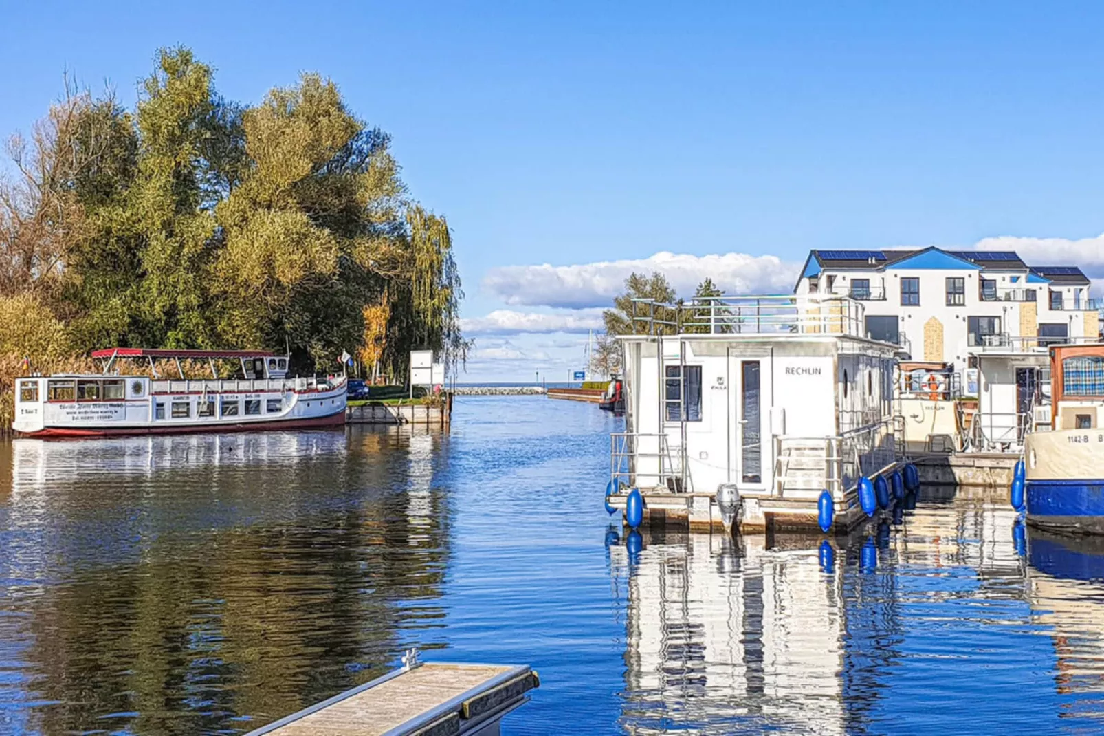 Haubentaucher 80-Gebiete Sommer 1 km