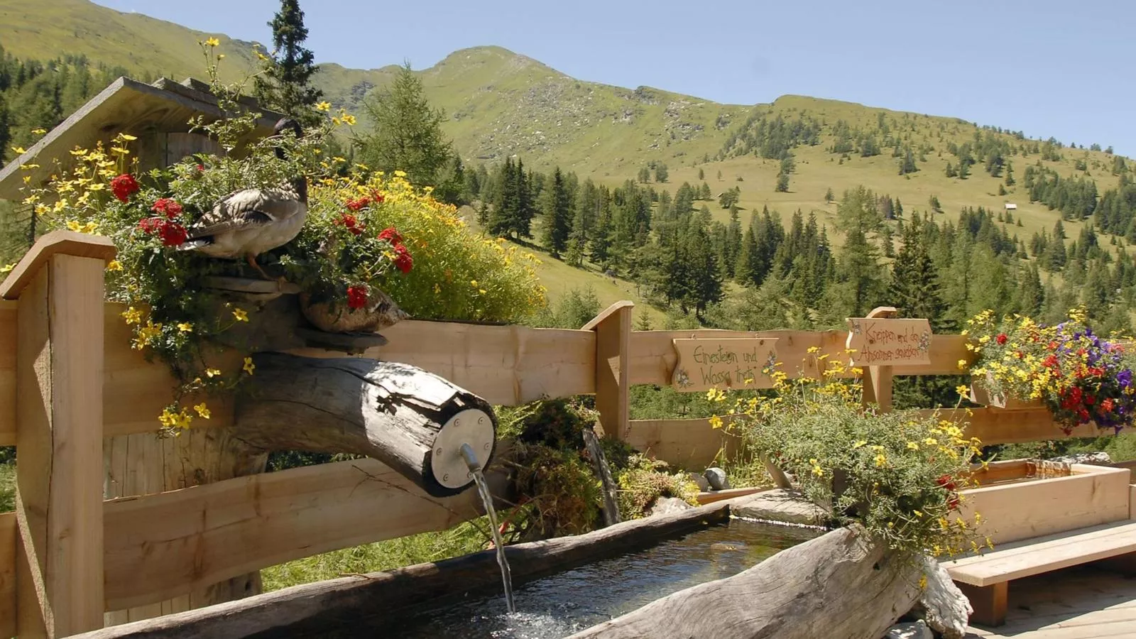 Ski Nature Apartment Lungau Top 1