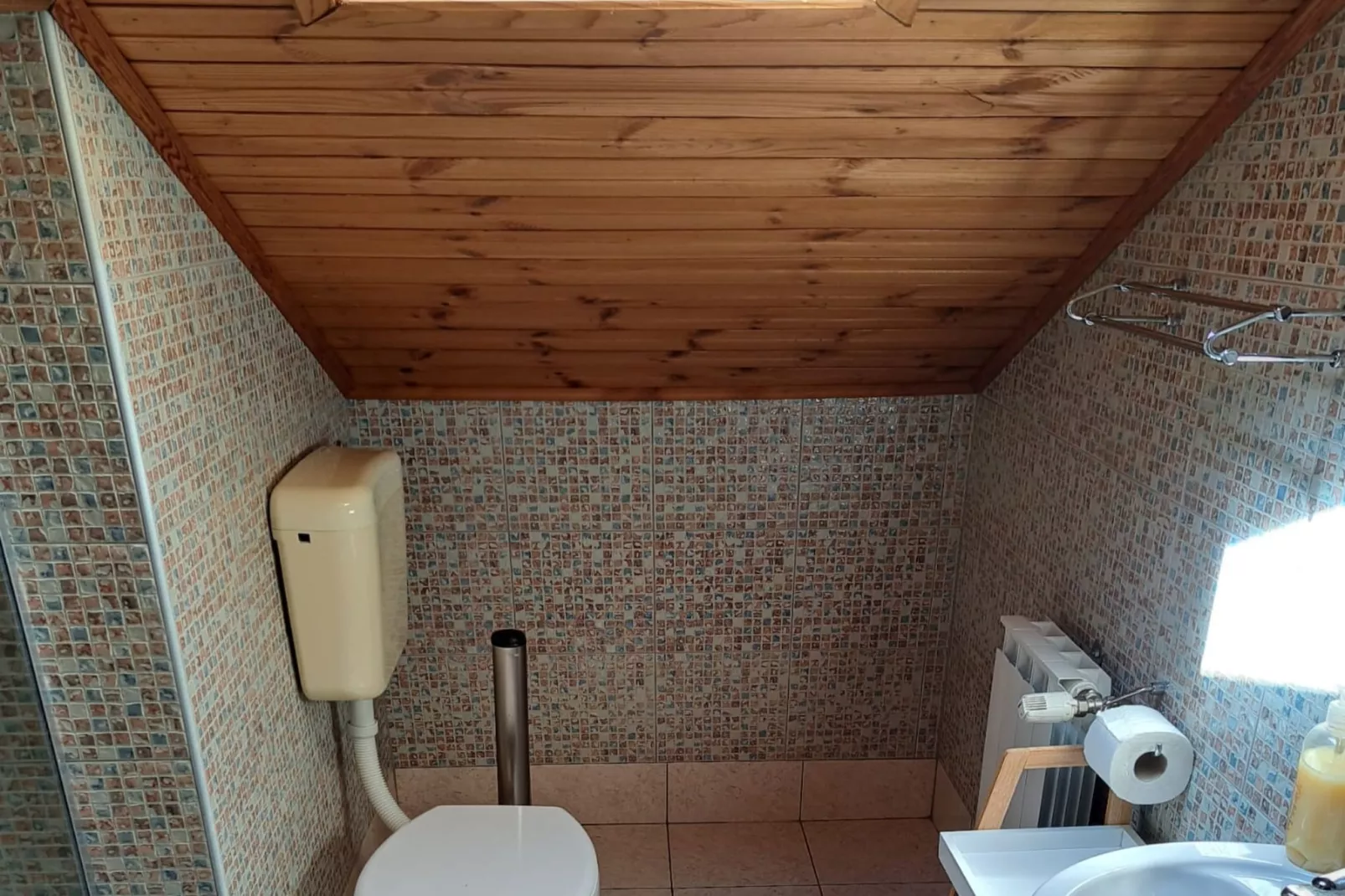Guesthouse Žafran- Two Bedroom Apartment-Bathroom