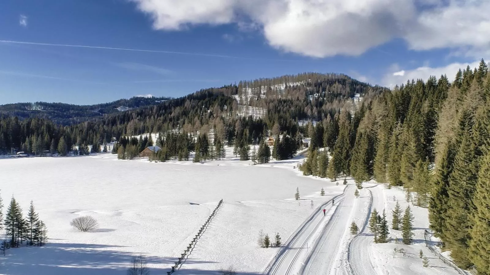 Ski Nature Apartment Lungau Top 1-Zones hiver à 5 km