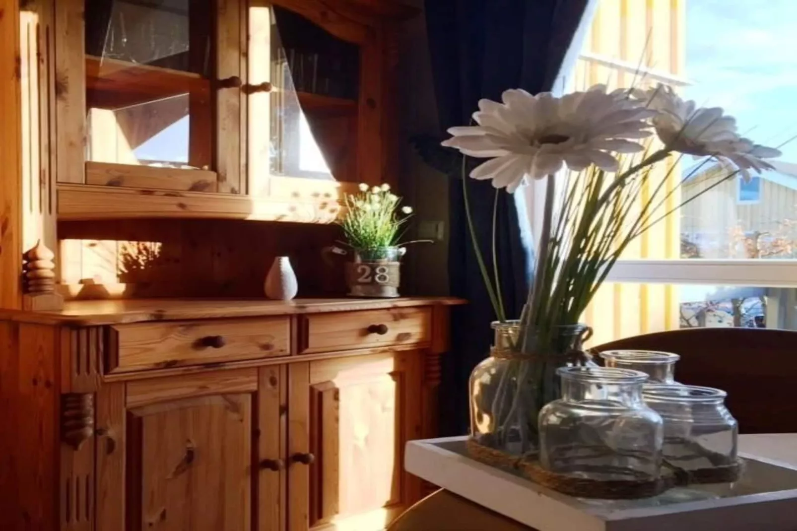 Haubentaucher 80-Ambiente