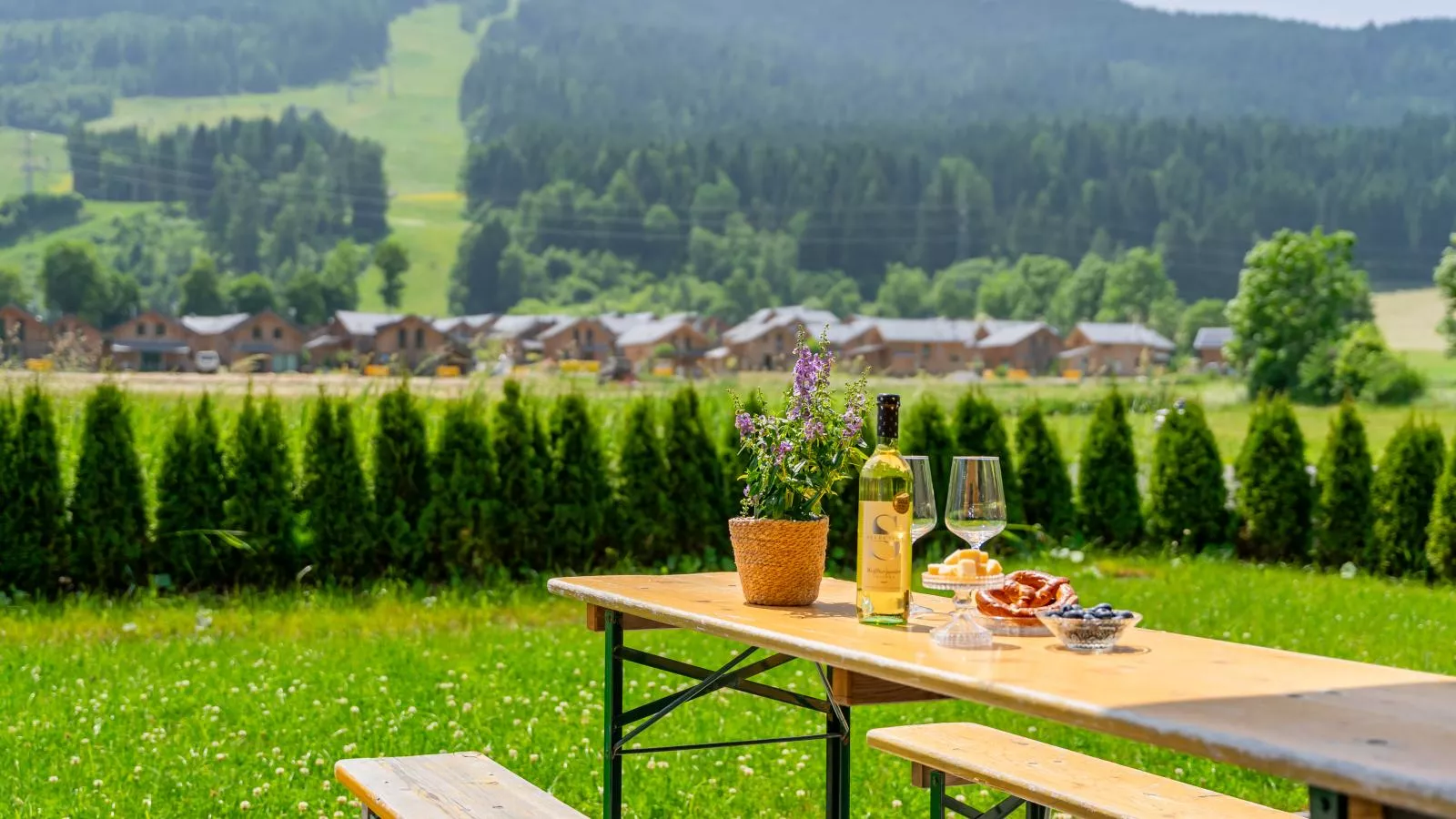 Bergzicht 2A-Terrasse / balcon